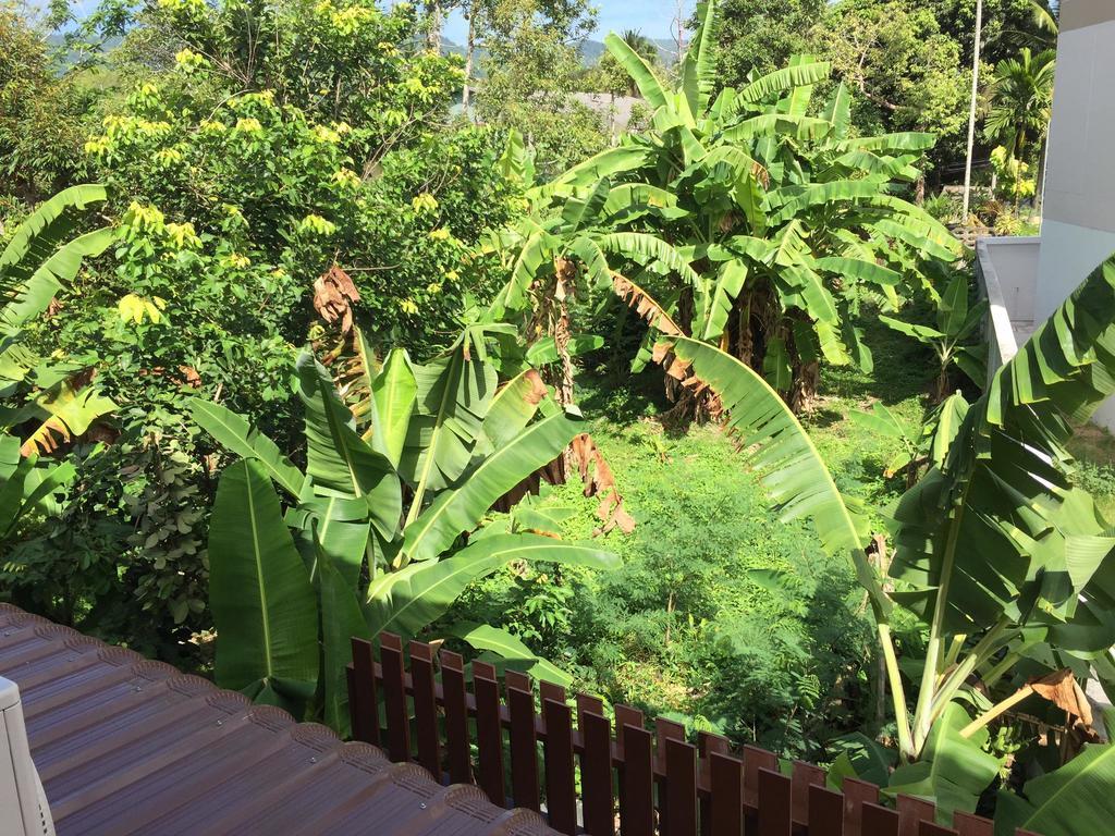 Samui Paca Place Mae Nam Exteriör bild
