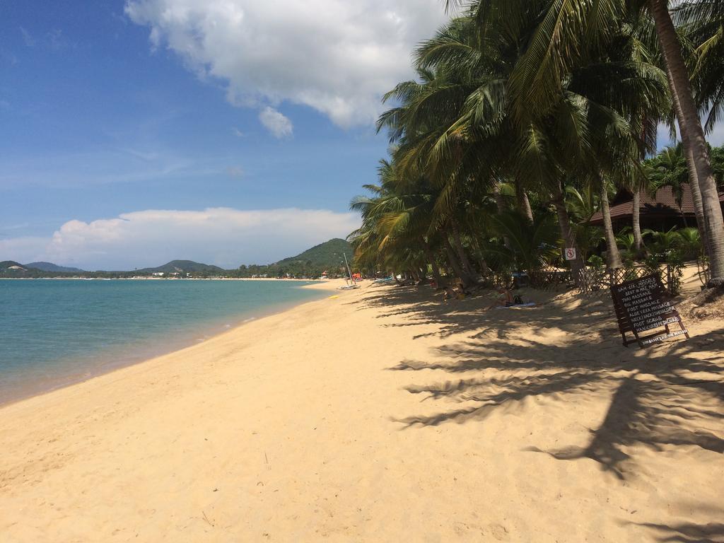Samui Paca Place Mae Nam Exteriör bild
